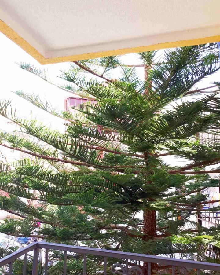 Venera Apartments Budva Kültér fotó